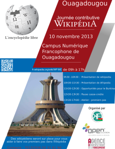 Journée_contributive_2013_-_Affiche_Ouagadougou